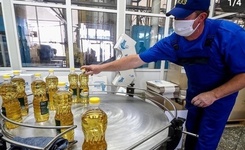 На Ставрополье запустили новую линию по розливу растительного масла