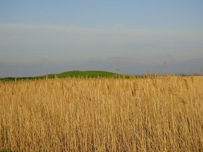 Сев озимых зерновых на Ставрополье преодолел «Экватор»