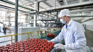 В Ставропольском крае после модернизациии запущен Георгиевский консервный завод