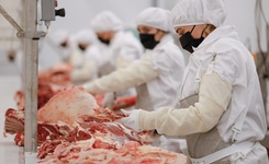Мясокомбинат открылся в агропромышленном парке «Ставрополье»