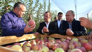 Владимир Путин пообещал ставропольским аграриям продолжить сдерживание цен на ГСМ