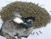 Комбикорм для кроликов и нутрийstatic/images/prod/4217/kroliki.jpg 