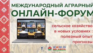Предприниматели Ставрополья приняли участие в Первой виртуальной выставке белорусских производителей