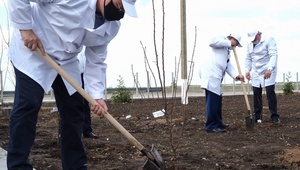 Первый миндальный сад заложили в Ставропольском крае