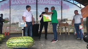 Членская организация ТПП Ставропольского края поощрила аграриев