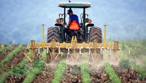 На Ставрополье создано 13 сельскохозяйственных потребительских кооперативов