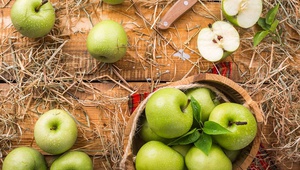 На Ставрополье планируется к реализации новый проект по переработке 3000 тонн яблок в год