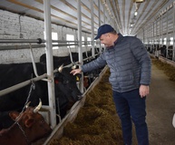 Ставропольские фермеры успешно используют современные технологии для производства молока