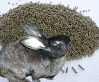 Комбикорм для кроликов и нутрий